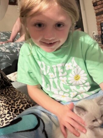 RagdollKittyCats of CA