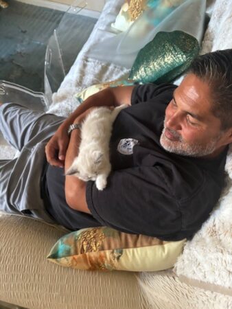 RagdollKittyCats of CA