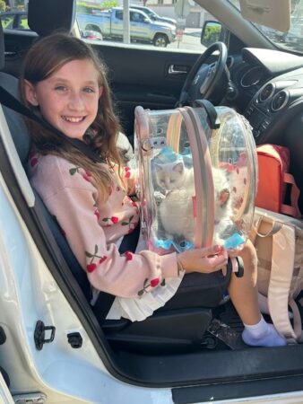 RagdollKittyCats of CA