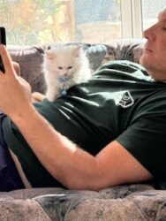 RagdollKittyCats of CA