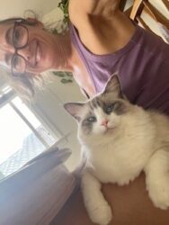 RagdollKittyCats of CA