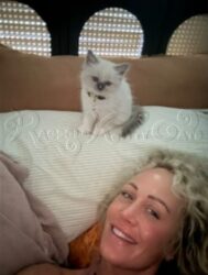 RagdollKittyCats of CA