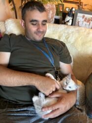RagdollKittyCats of CA
